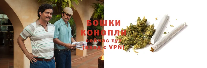 Конопля White Widow  где продают наркотики  Белоярский 